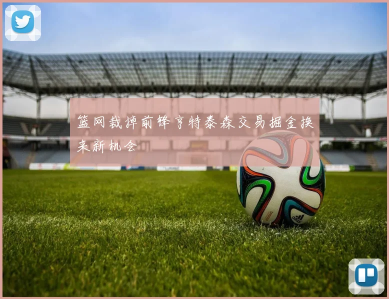 篮网裁掉前锋亨特泰森交易掘金换来新机会