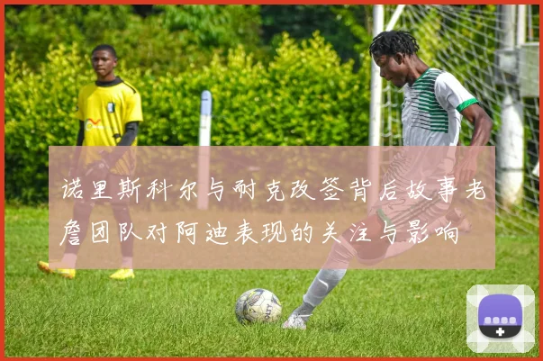 诺里斯科尔与耐克改签背后故事老詹团队对阿迪表现的关注与影响
